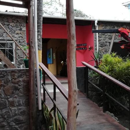 Galapagos Morning Glory Hostel Puerto Ayora  Εξωτερικό φωτογραφία