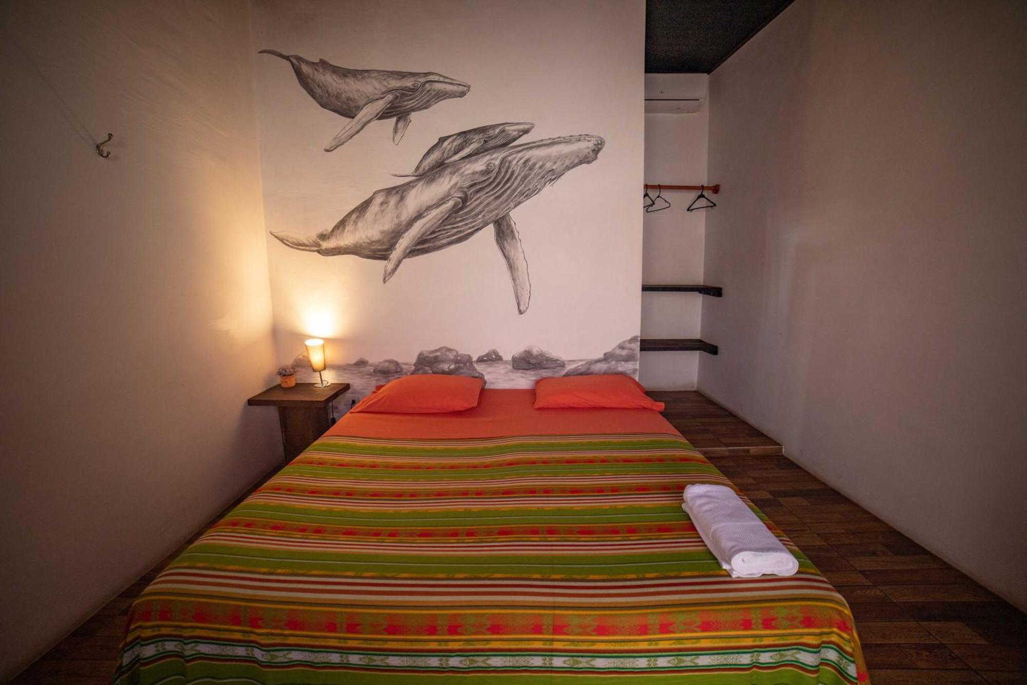 Galapagos Morning Glory Hostel Puerto Ayora  Δωμάτιο φωτογραφία