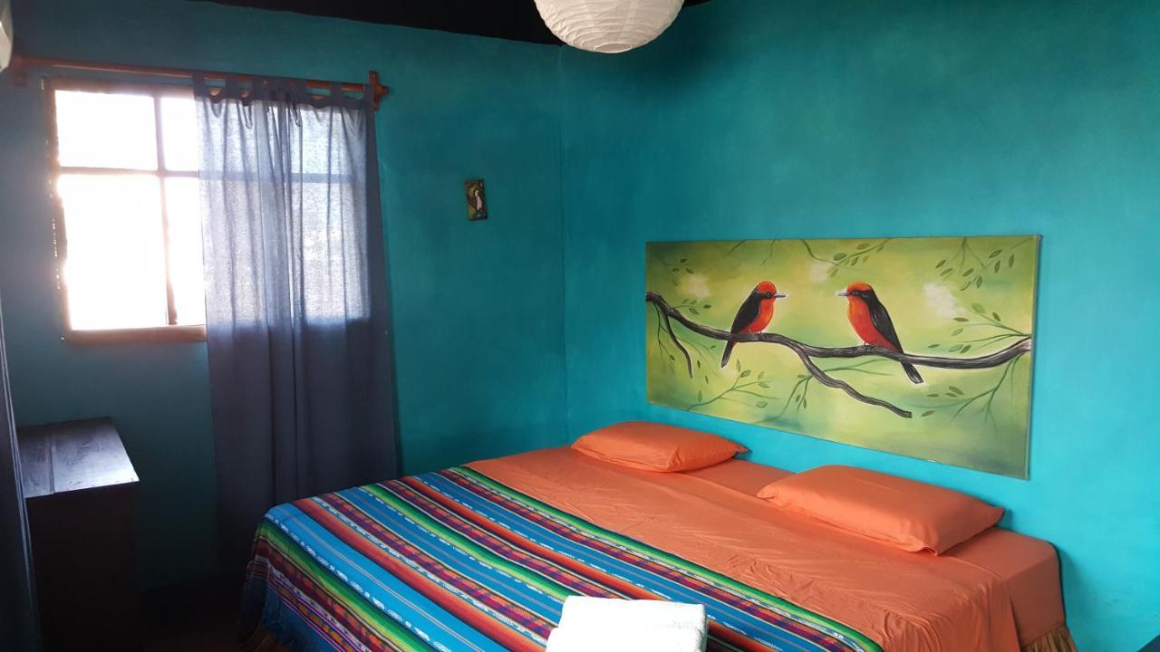 Galapagos Morning Glory Hostel Puerto Ayora  Εξωτερικό φωτογραφία