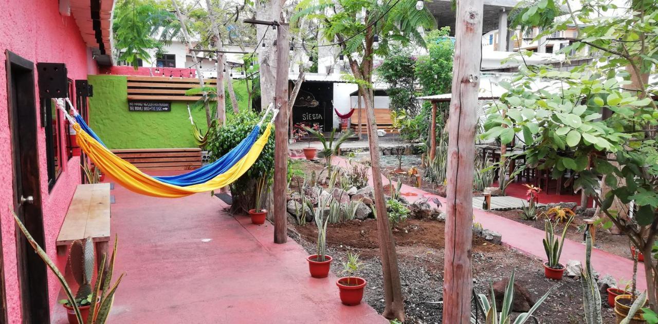 Galapagos Morning Glory Hostel Puerto Ayora  Εξωτερικό φωτογραφία