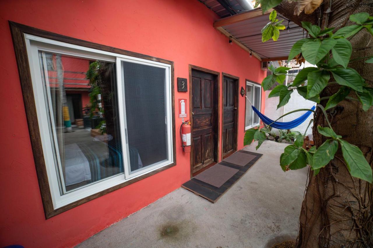 Galapagos Morning Glory Hostel Puerto Ayora  Εξωτερικό φωτογραφία
