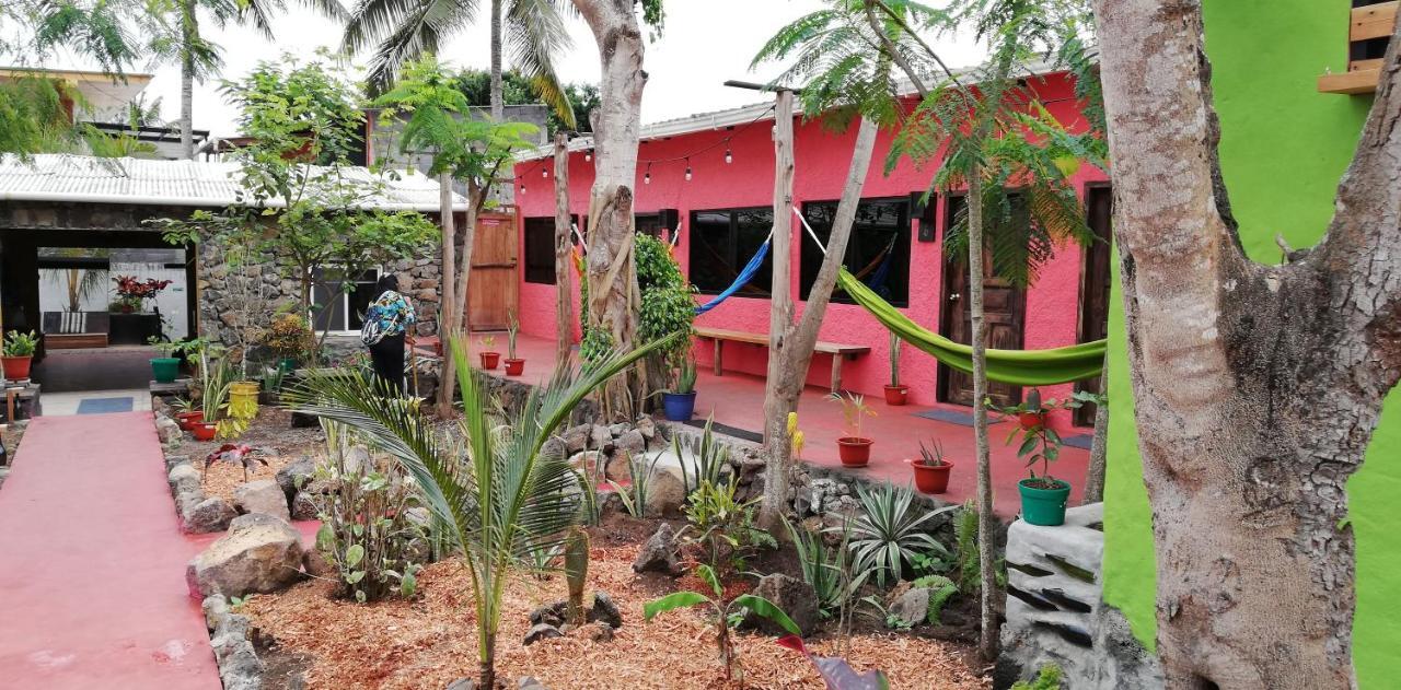 Galapagos Morning Glory Hostel Puerto Ayora  Εξωτερικό φωτογραφία